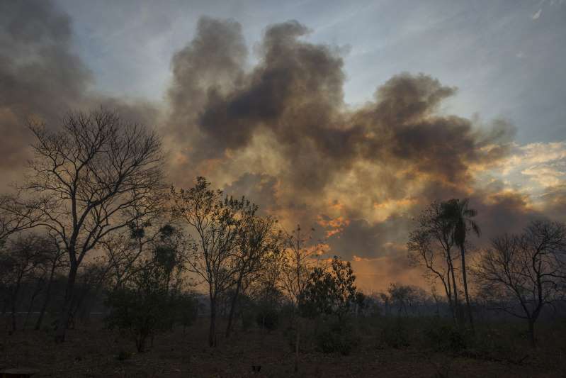 De Angola à Sibéria. O que arde no mundo além da Amazónia? 